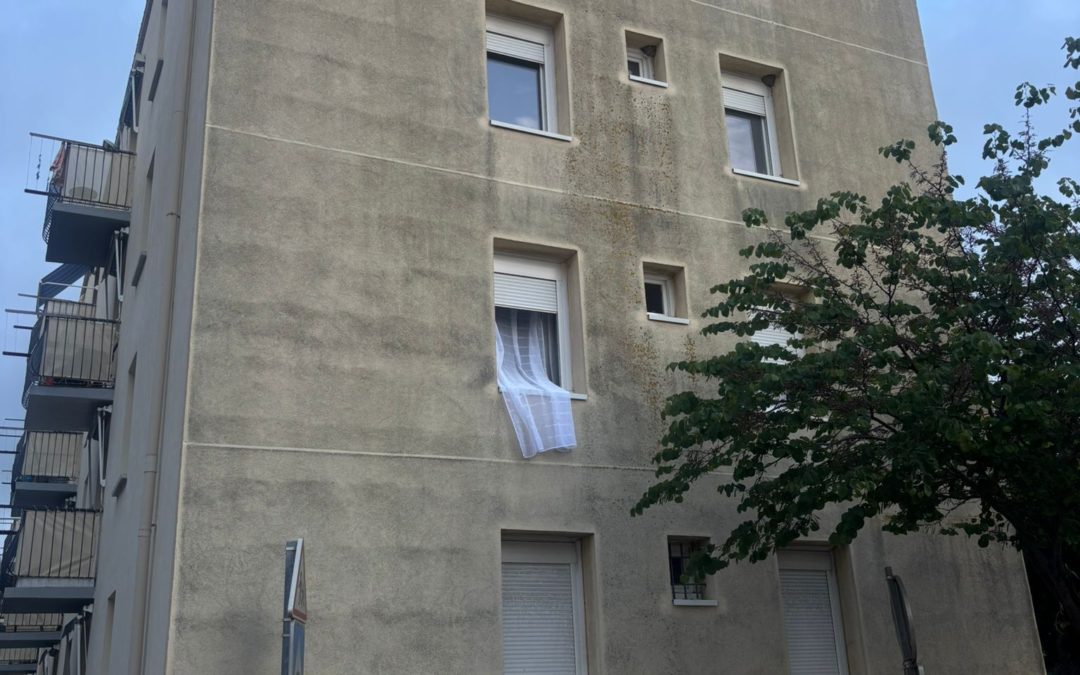 Nettoyage vapeur basse pression des façades